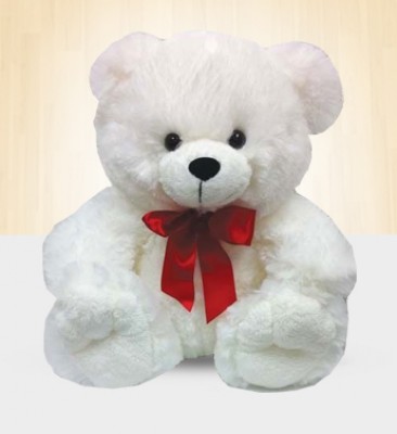 A cute white bear approximately 10 Inches ( 20-25 Cms ) Small White Bear