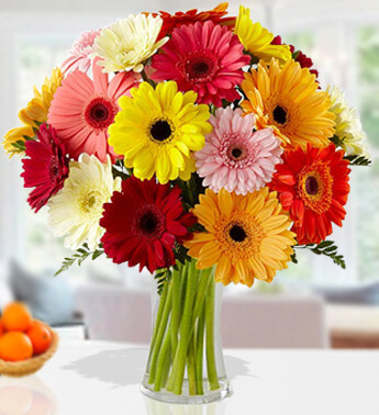 20 Mixed color Gerbera in a Glass Vase. Bright Colorful Gerberas