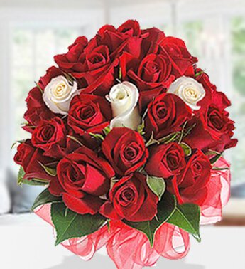 Bunch of 18 Red Roses & 3 White Roses with net wrapping Shes Divine