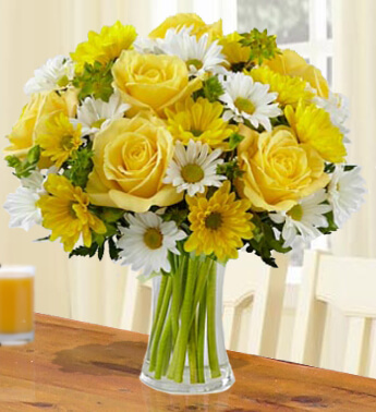 8 Stems of Yellow Roses,3 Stems Of White Crysanthimums & 3 Stems Of Yellow Crysanthimums in a Glass Vase (one sided round arrangement) Sunshine
