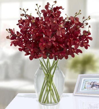 Arrangement of 20 Stems of Red Mokara Orchids in a glass vase. Exotic Refinement