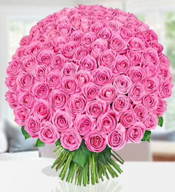 Bunch of 100 Pink Roses in nice wrapping Pink Kiss