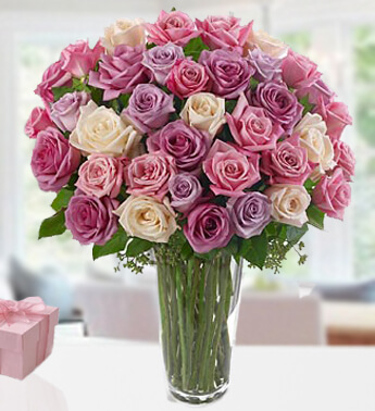 12 Pink, 12 Purple and 12 Peach Roses with fillers in a glass vase. Sweet Splendor