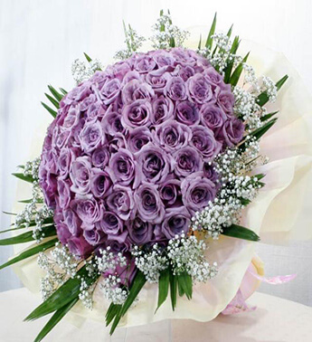 Bunch of 100 Purple Roses with fillers in a nice wrapping paper. Royal Purple Love