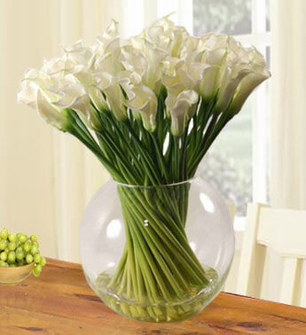 Elegant White Calla Lilies