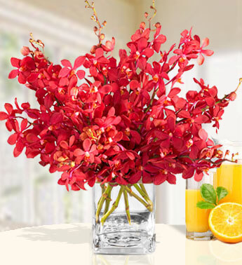 Red Mokara Orchids