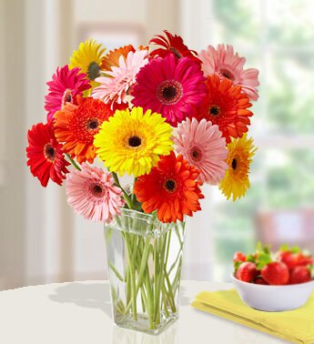 20 Mixed Gerbera in a glass vase. Bright N Beautiful