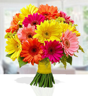 Bunch of 20 Mixed Gerbera in a nice wrapping. Uniqueness