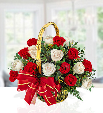 Basket arrangement of 10 Red & 10 White Roses with Greens & Gypsophelia. Stylish Always