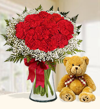 Bunch of 12 Stems of Red Carnations with White Baby's Breath and 12 Inch Teddy Bear Cheerful Carnations