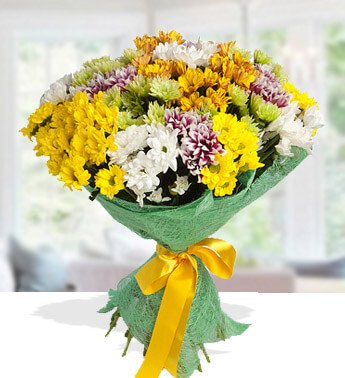 5 steams each of Yellow , green , Orange , White and Pink Chrysanthemums in nice wrapping Compact Bouquet