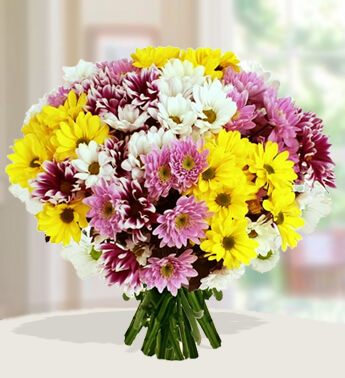 5 stems of Yellow, 5 stems of Pink and 5 stems of White Chrysanthemums in nice wrapping. Mourning Bouquet